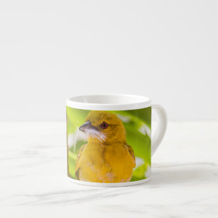 Zeit für den Bau des Nests Espressotasse