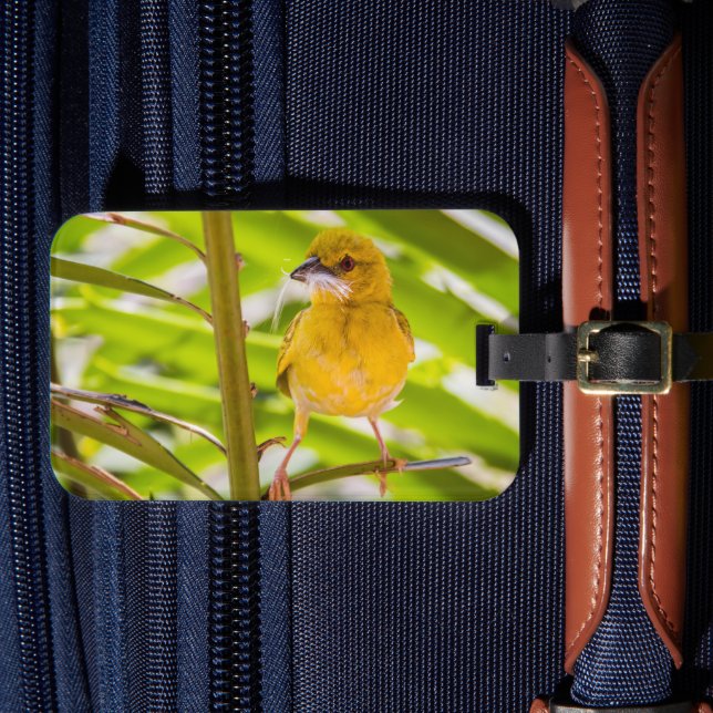 Zeit für den Bau des Nests Gepäckanhänger (Vorderseite Insitu 4)