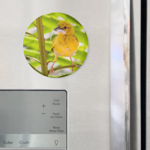 Zeit für den Bau des Nests Magnet