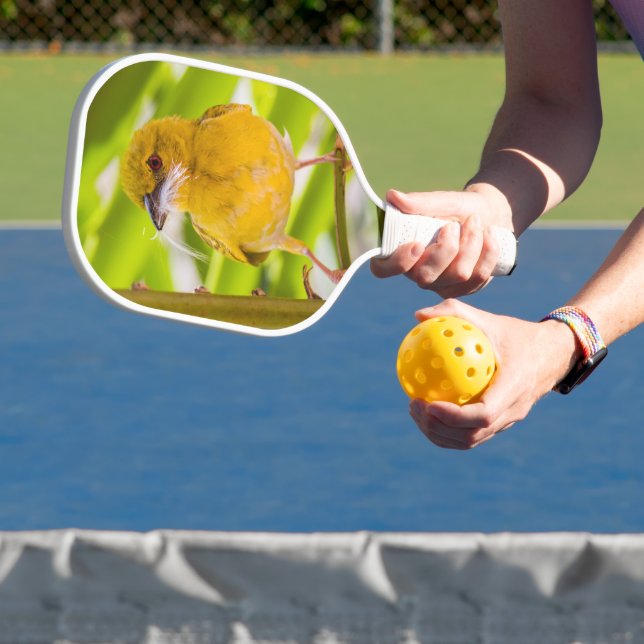 Zeit für den Bau des Nests Pickleball Schläger (InSitu)