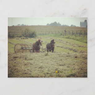 Zeit in Kalona, Iowa Postkarte