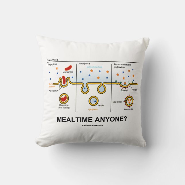 Zeit jemand? Endozytose Eating Biology Spaß Kissen (Vorderseite)