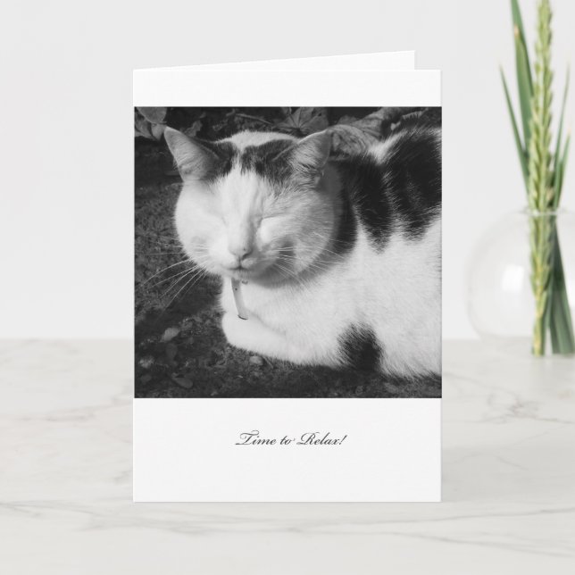 Zeit, sich Katze zu entspannen - leere Karte (Vorderseite)