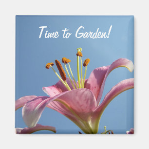 Zeit zu Garten! Magnet Pink Lily Blume Blue Sky