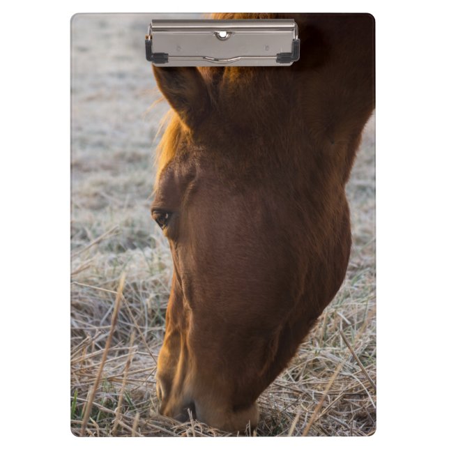 Zeit zum Essen Klemmbrett (Vorderseite)