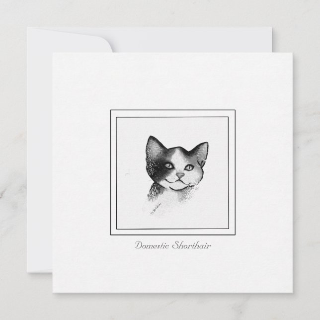 Zeitgenössische Katzen-Skizze eines häuslichen Kur Mitteilungskarte (Vorderseite)