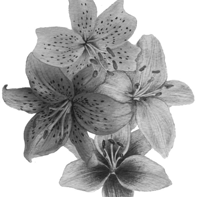 zeitgenössische Kunst in Schwarz und Weiß Tasche (Von Creator hochgeladen)