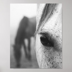 Zeitgenössische Pferdeaugenfotografie Poster