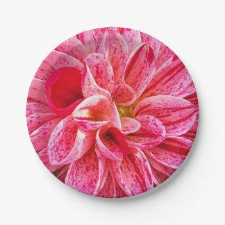 Zeitgenössische Pink-Floral-Fotografie Pappteller