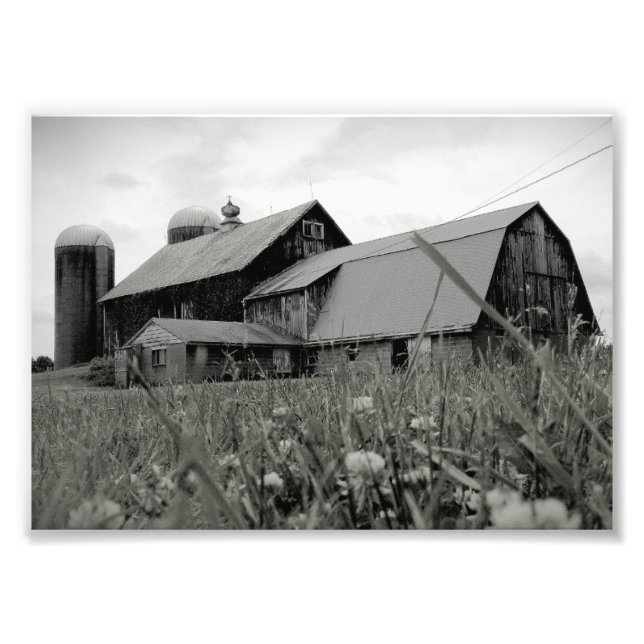 zeitlos fotodruck (Vorne)