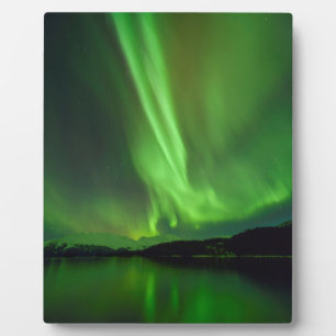 Zeitlose Aurora Fotoplatte