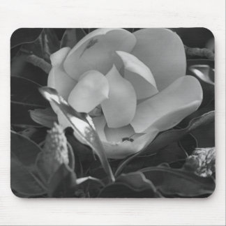 Zeitlose Magnolie Mousepad
