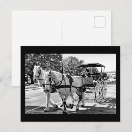 Zeitlose Reise Postkarte