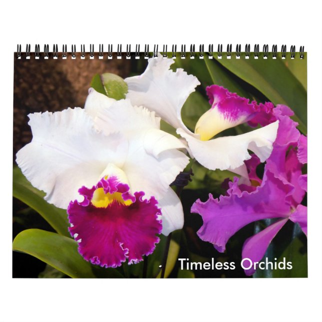 Zeitloser Orchideenkalender Kalender (Titelbild)