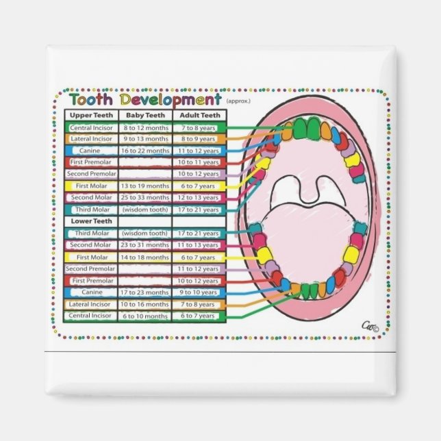 Zeitplan für die Auslösung der Zelte für Erwachsen Magnet (Vorne)