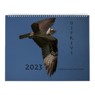 Zeitplan Ospreys in Aktion 2023 Kalender