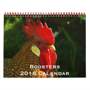 Zeitpläne 2016 kalender