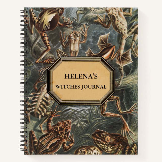 Zeitschrift für doppelte Trouble-Hexen Notizbuch (Vorderseite)