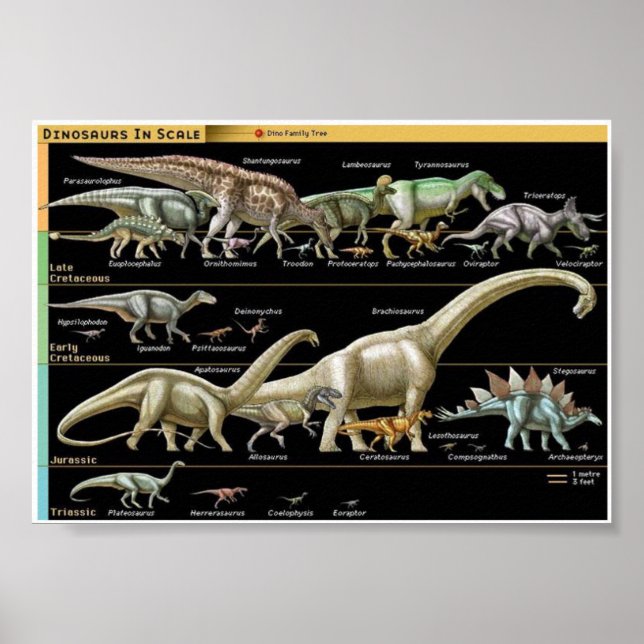 Zeitstrahl der Dinosaurier Biologie Poster (Vorne)