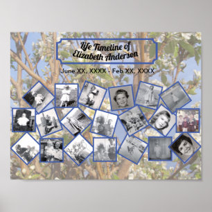 Zeitstrahl-Fotocollage auf weißem Blütenbaum Poster