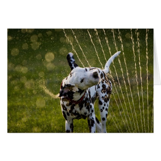 Zeke dans Sprinkler (Devant horizontal)