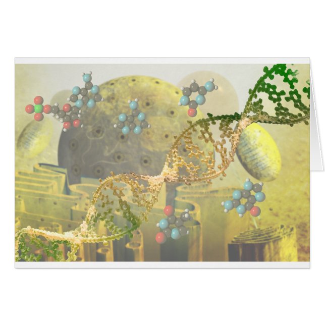 Zelle mit DNS (Vorderseite (Horizontal))