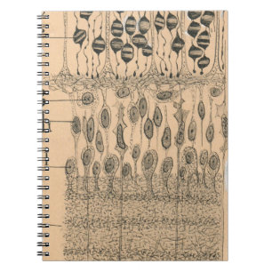 Zelle Zeichnend Auge Retina Santiago Ramon Y Cajal Notizblock