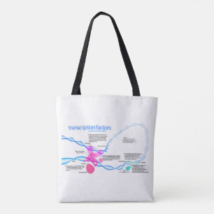 Zellen Gen-Transkriptionsfaktoren Diagramm  Tasche
