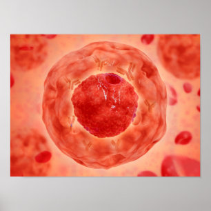 Zellen-Kern mit Chromosom 2 Poster