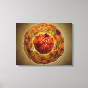 Zellen-Kern mit Chromosom 3 Leinwanddruck