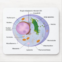 Zellenstruktur mousepad