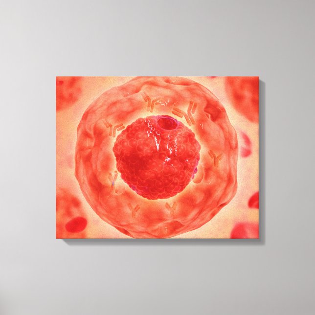 Zellkerne mit Chromosom 2 Leinwanddruck (Vorderseite)