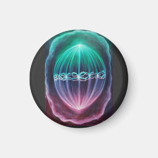 Zellteilung Magnet