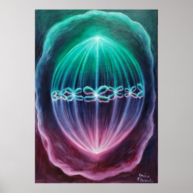 Zellteilung Poster (Vorne)