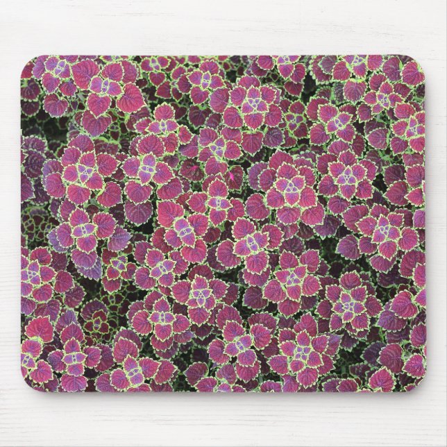 zellular mousepad (Vorne)