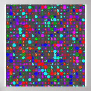 Zems Stein Poster