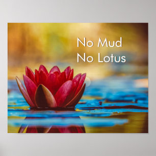 Zen-Achtsamkeit Keine Erde Kein Lotus Wanddekorati Poster