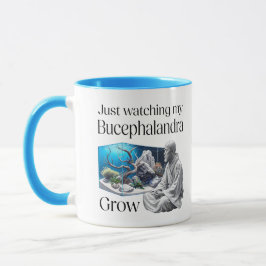 Zen and Bucephalandra – The Art of Aquascaping Tasse