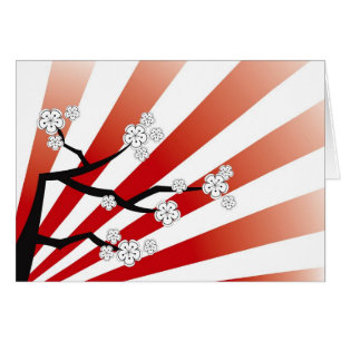 Zen blanc de fleurs de fleurs de cerisier de lever