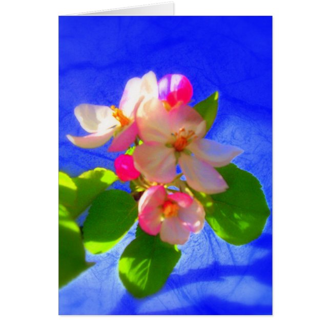 Zen-Blossoms-Karte (Vorne)