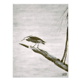 Zen Classics - Sesshu - Heron and Willow Fotodruck