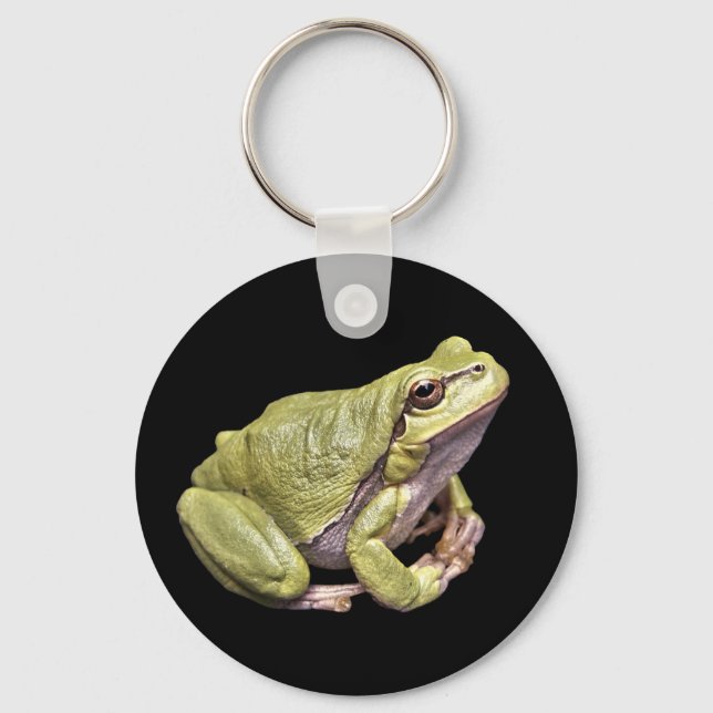 Zen Frog Niedliche grüne Meditation Treefrog Schwa Schlüsselanhänger (Vorderseite)
