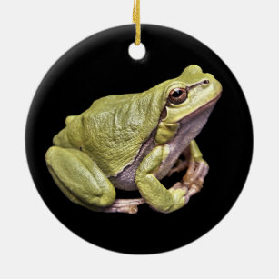 Zen-Frosch blasse e-grün Treefrog schwarze Keramik Ornament