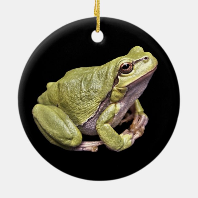 Zen-Frosch blasse e-grün Treefrog schwarze Keramik Ornament (Hinten)