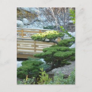 Zen Garden Postkarte