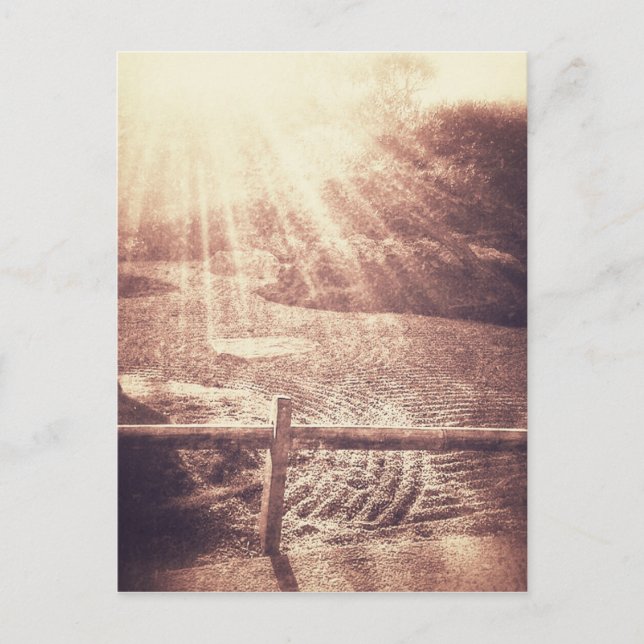 Zen Garden Postkarte (Vorderseite)