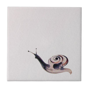 Zen-Lackschnecke Fliese