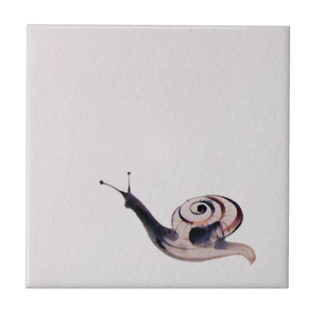 Zen-Lackschnecke Fliese (Vorderseite)