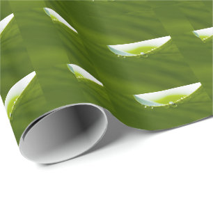 Zen Liebe Green Lotus Leaf Wasserfall Geschenkpapier