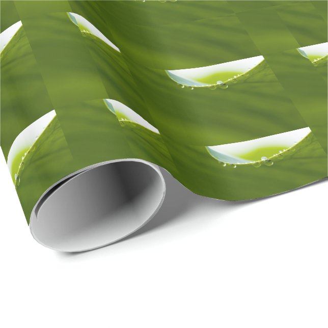 Zen Liebe Green Lotus Leaf Wasserfall Geschenkpapier (Rolleneckpunkt)